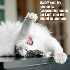 Digitale grüße mit schönen bildern für den montagmorgen. Guten Morgen Bilder Fur Whatsapp Mit Lustigen Liebevollen Spruchen
