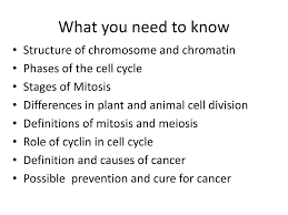 Check spelling or type a new query. Ppt Cell Cycle And Cancer Powerpoint Presentation Free Download Id 2528677