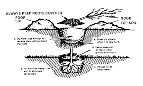 Maybe you would like to learn more about one of these? Gardener S Handbook Direct Gardening