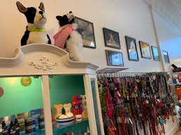 Luxury, design & lifestyle for dogs and cats. Sniffany S Pet Boutique Offers Premium Pet Products In Downtown Albany Business Democratherald Com