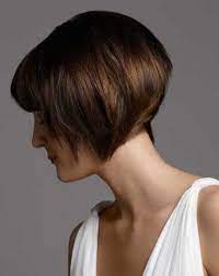 15 Cute Chin Length Hairstyles For Short Hair Popular Haircuts Chin Length Hair Thick Hair Styles Short Bob Hairstyles