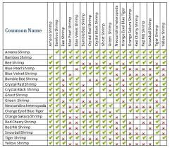 Dwarf Shrimp Compatibility Chart Freshwater Aquarium