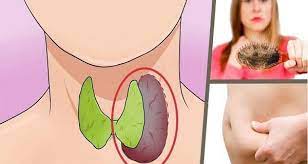 Maybe you would like to learn more about one of these? Les Symptomes A Detecter Pour Le Dysfonctionnement De La Thyroide Comment Soigner Problemes De Thyroide Thyroide