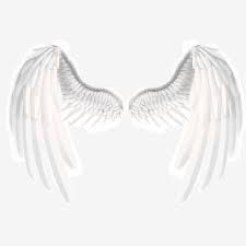 Angel Beautiful White Wings Angel Wings White Wings Wings Png Transparent Clipart Image And Psd File For Free Download White Wings Wings Png Wings Art