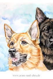 Illustrationen und portraits von hunden nach fotovorlage. Illustrationen Und Portraits Hund Malen Lassen Portfolio Aram Und Abra Hund Zeichnungen Hund Malen Kreative Kunst