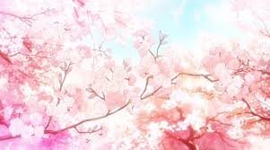 Cherry Blossoms Your Lie In April Anime Background Anime Scenery Anime Cherry Blossom