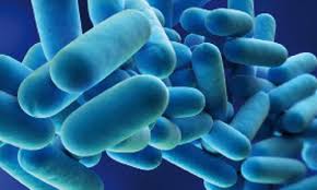 After legionella grows and multiplies in a building water system, water containing legionella can spread in droplets small enough for people to breathe in. Magazine Aqua Free Gb En