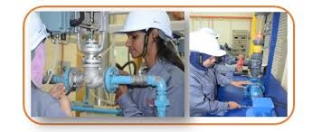 Diploma kejuruteraan mekanikal (pembuatan) atau diploma in mechanical engineering (manufacturing) adalah salah satu. Jabatan Kejuruteraan Petrokimia Portal Rasmi Politeknik Pagoh