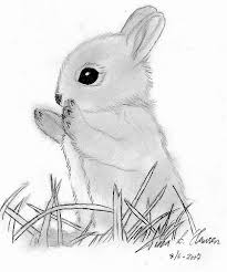 41 cute baby bunnies coloring pages to print and color. Baby Bunny Realistic Cute Rabbit Drawing Novocom Top