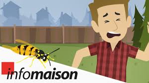 We did not find results for: Protection Contre Les Guepes Infomaison