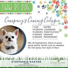 7 Best Diy Dog Cologne Ideas Diy Dog Stuff Dog Spray Dog Perfume