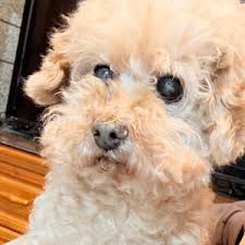 晴-歌詞-汪蘇瀧(Silence Wang)-KKBOX