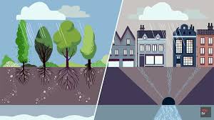 The cities project is back with stories about nature reclaiming space in our urban environments. What Happens If You Cut Down All Of A City S Trees The Kid Should See This