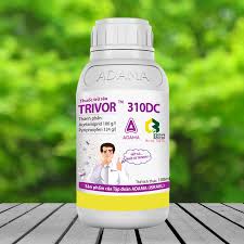 Trivor 310DC
