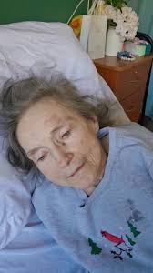 last Christmas celebration of the year🤍