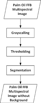 Palm oil is also given other names on ingredient lists, such as: Palm Oil Fresh Fruit Bunch Grading System Using Multispectral Image Analysis In Hsv Semantic Scholar