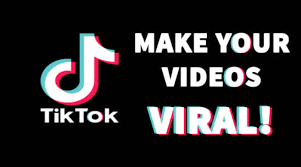 Freelancerportal I Will Provide Many Quality Video Views On Tik Tok