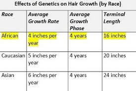 Thefeistyhouse A Lifestyle Blog Hair Length Chart Natural Hair Styles Hair Lengths