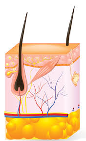 They know what it is, and that it works at at effectively removing hair. How Does Laser Hair Removal Work How It Works