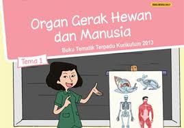 Soal Ulangan Kurikulum 2013 Kelas 5 Tema 1 Subtema 1 Dan 2 Kurniasepta Com
