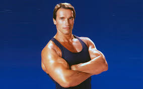 Arnold Schwarzenegger Bodybuilder HD wallpaper
