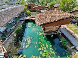 แซ่บนัว ครัวบ้านนา ตั้งอยู่ใน อำเภอศาลายา จังหวัด นครปฐม เป็นร้านอาหารที่เน้นขายอาหารอีสานมีเมนูให้เลือกมากมาย ตกแต่ง. Https Xn 03cia5cd Tv E0 B8 A3 E0 B8 B5 E0 B8 A7 E0 B8 B4 E0 B8 A7 E0 B8 Ad E0 B8 B2 E0 B8 Ab E0 B8 B2 E0 B8 A3 E0 B9 81 E0 B8 8b E0 B9 88 E0 B8 9a E0 B8 99 E0 B8 B1 E0 B8 A7 E0 B8 84 E0 B8 A3 E0 B8 B1 E0 B8 A7 E0 B8 9a E0 B9 89 E0 B8 B2 E0 B8 99 E0 B8 99 E0 B8 B2 E0 B8 A8 E0 B8 B2 E0 B8 A5 E0 B8 B2 E0 B8 A2