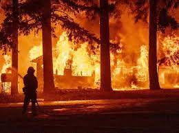 Fogo e desespero no andorinhas. Incendio Florestal Na California Ja Provoca Mudanca No Clima Da Regiao