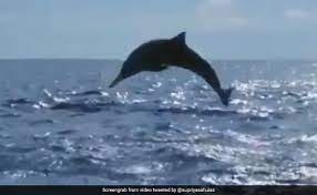 The day also educates people on the global problems related to the ocean. Lb8w1lstaxvccm