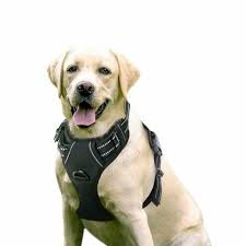 Rabbitgoo Dog Harness No Pull Pet Harnes