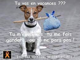 https://encrypted-tbn0.gstatic.com/images?q=tbn:ANd9GcQB38oQ0IpoPczspB7dqxSewXa2t9l9YDCRjr24GZmdbg7b0fgJoKyg5XfqB01jSbb6Sgg&usqp=CAU