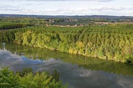 Demandez conseil à la communauté. De Moissac A Bruniquel 5 Etapes A Faire Dans Le Tarn Et Garonne Le Blog De Sarah Blog De Voyage