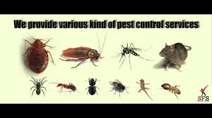 Sterling pest control is provides pest control services in thane, mumbai. Herbal Pest Control In Wakad Pune