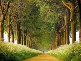 Mengenai jam paket malam smartfren, sebenarnya dari jam berapa ke jam berapa? Berapa Jarak Perbedaan Waktu Di Indonesia Dan Malaysia Brainly Co Id