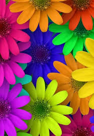 Chiaro di luna foto di fiori. Wallpapers Hd Versions Share C By Rhendy Hostta Thank You For Visiting My Pin Collection In Pinterest Sfondi Floreali Bellissimi Sfondi Fiori Colorati