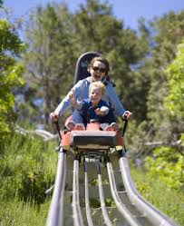 Welcome to little monkey bizness in colorado springs, a place where kids can truly monkey around! Top 16 Things To Do In Colorado In Summer Colorado Summer Road Trip To Colorado Colorado Adventures
