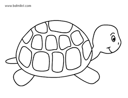 Coloring pages for childrens with funny animals, turtle. Coloring Pages For Kids Printable Turtle Coloring Pages For Kids