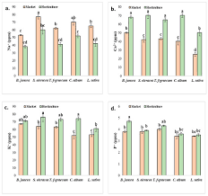 Amalan doa lunas hutang mustajab lengkap arab latin dan artinya. Sustainability Free Full Text Proximate Composition And Nutritive Value Of Some Leafy Vegetables From Faisalabad Pakistan Html