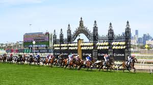 · the 2020 melbourne cup . Melbourne Cup 2021 All You Need To Know About The Race That Stops Two Nations Stuff Co Nz