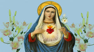 A devoção ao imaculado coração de maria nossa senhora mostrou o seu coração rodeado de espinhos, que significam os nossos pecados. Hino Ao Coracao Imaculado De Maria Hd Youtube