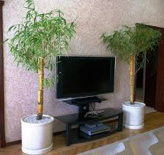 Get free shipping on qualified bamboo or buy online pick up in store today in the outdoors department. 8 Amazing Ways To Use Bamboo In Your Home Interiors Interior Design Ideas
