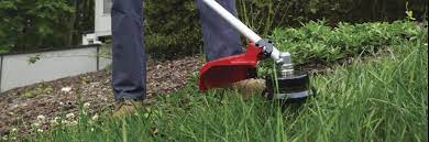 Redmax trimmers were first built by redmax. Best Redmax String Trimmer Weed Eater Reviews String Trimmer Reviews And Ratings