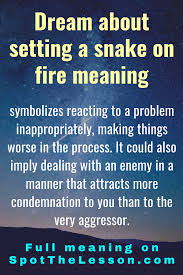 Who started the use of term? Did You Dream About Setting A Snake On Fire Here Is What It Means And The Symbolism Behind Dream Meanings Dream Symbols Dream