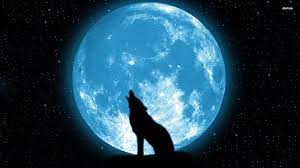 Kumpulan foto supermoon gambar bulan purnama pic bulan. Ada Fenomena Langka Supermoon Sekaligus Gerhana Bulan Di Indonesia Catat Waktunya