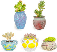 Go ahead and take two 35 inch pieces of twine and use them to tie bows around each. Amazon Com Chp Set Of 5 Ceramic Succulent Planter Pot With Drainage Planting Pot Flower Pots Small Planter Pots For Garden Cactu Succulent Pot Mini Flower Pots With Holes Plants Not Included