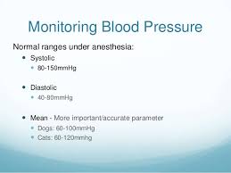 Doppler blood pressure measurement in the cat: Anesthesia Monitoring Bulger
