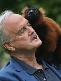 18 Animals and Plants Named After Famous People