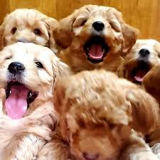 We provide quality veterinary care with a personal touch. Coleman Veterinary Hospital Home Facebook