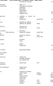 Image result for Phacelurus gabonensis