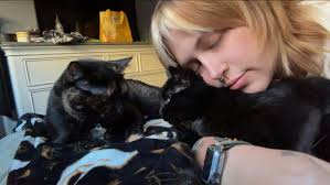 Sweet Babies 😻💋😻💋💞💕💞💕💞🐾🐾❤🐾🐾😘😘😘🖐🖐