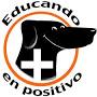 Educando en positivo, educación canina from m.facebook.com